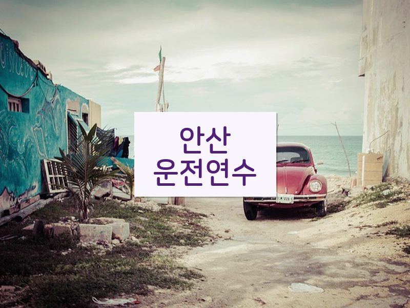 안산운전연수 후기