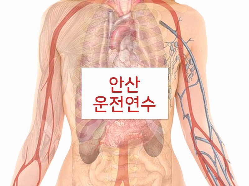 안산운전연수 후기