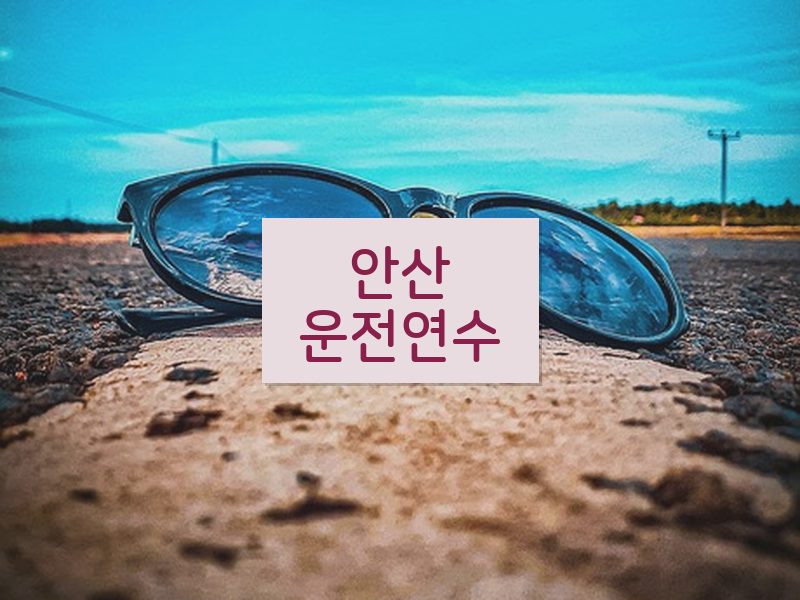 안산운전연수 후기