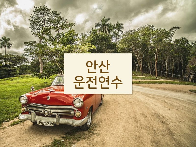 안산운전연수 후기