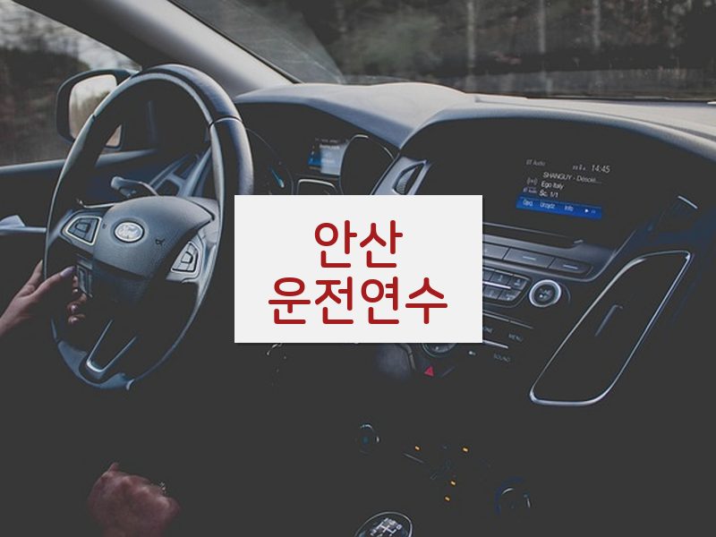 안산운전연수 후기