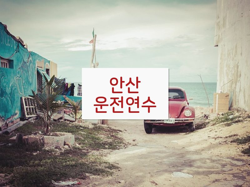 안산운전연수 후기