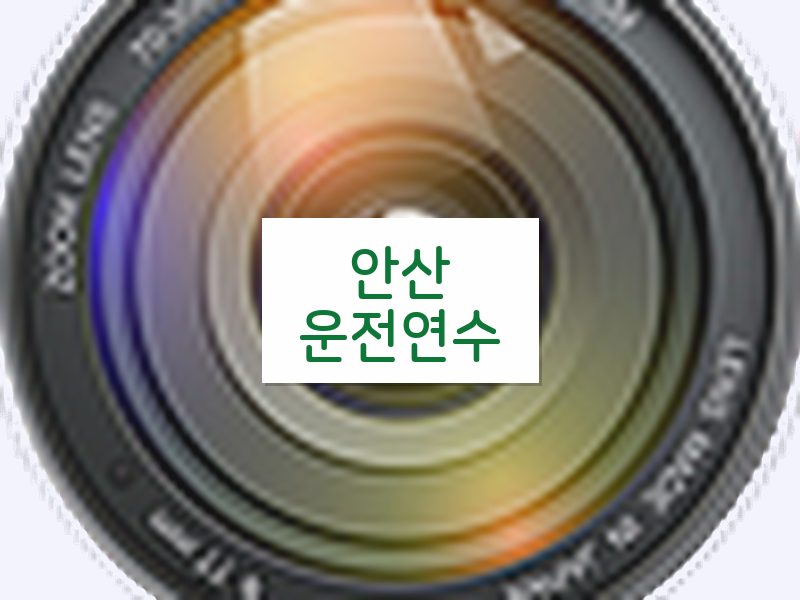 안산운전연수 후기