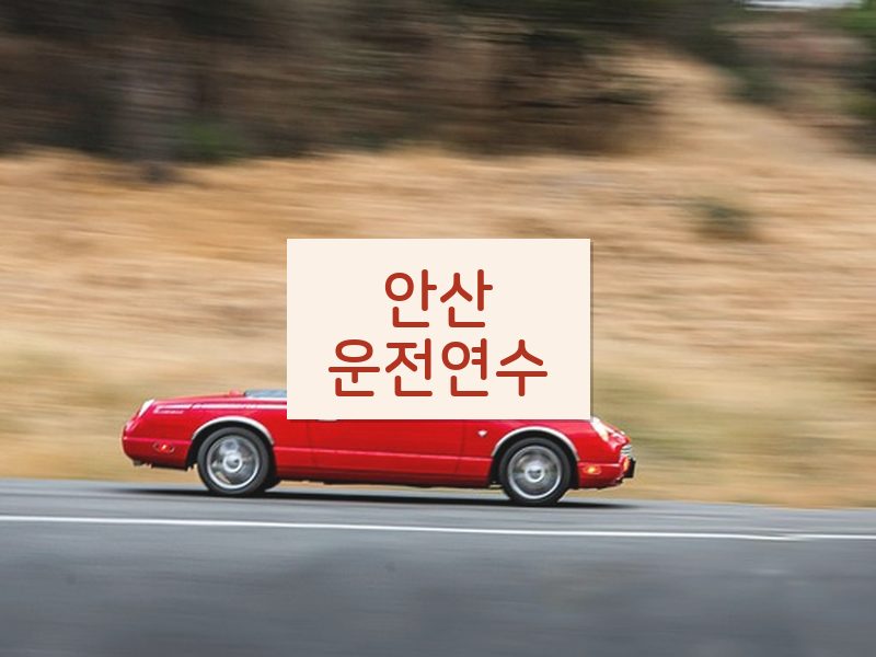 안산운전연수 후기