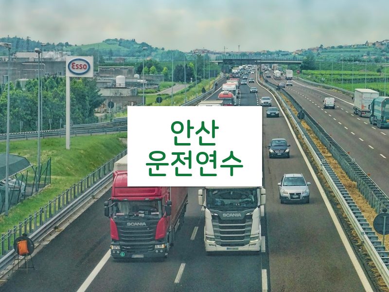 안산운전연수 후기