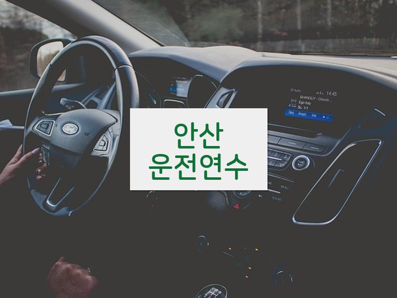 안산운전연수 후기