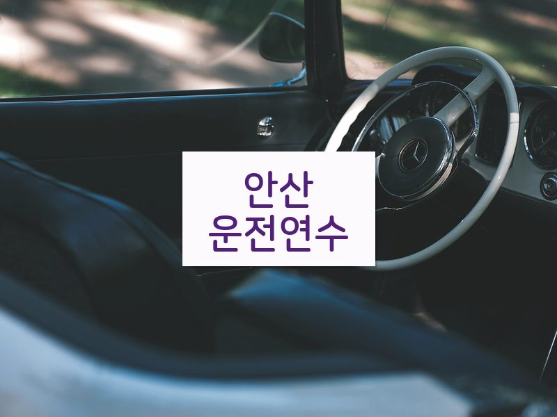 안산운전연수 후기