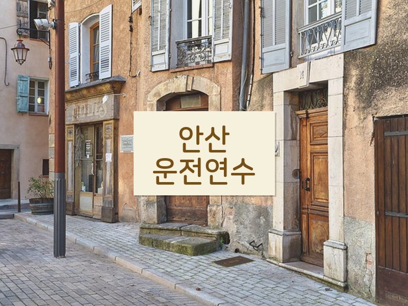 안산운전연수 후기