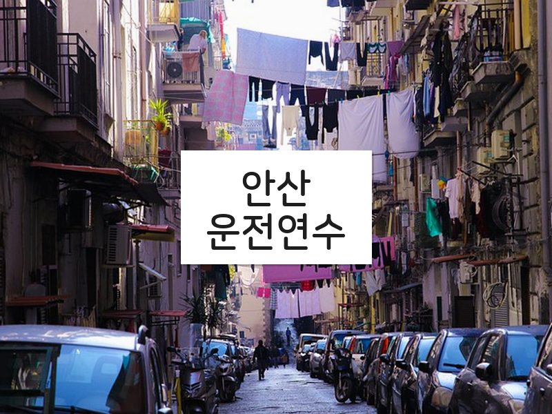 안산운전연수 후기