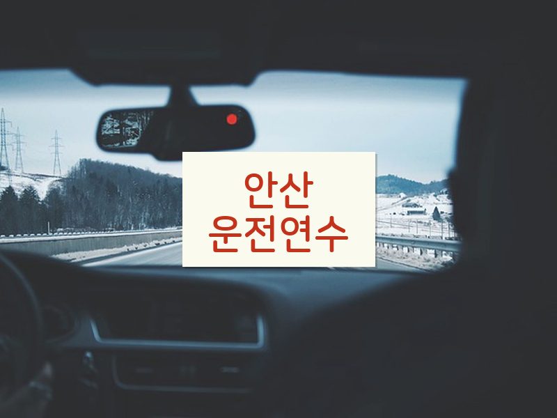 안산운전연수 후기