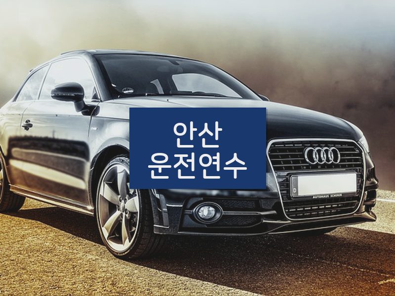 안산운전연수 후기