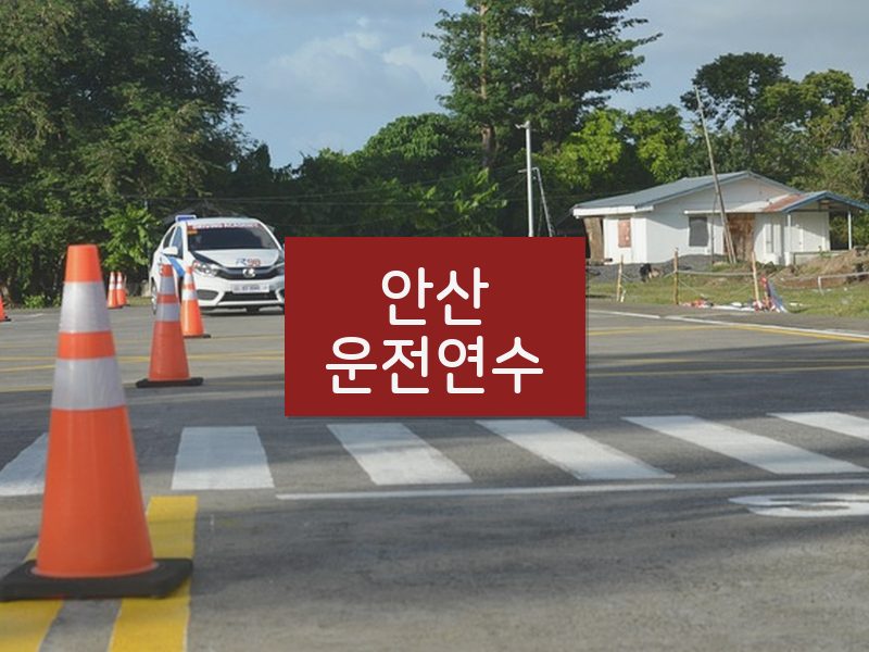 안산운전연수 후기