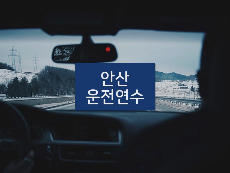 안산운전연수 후기