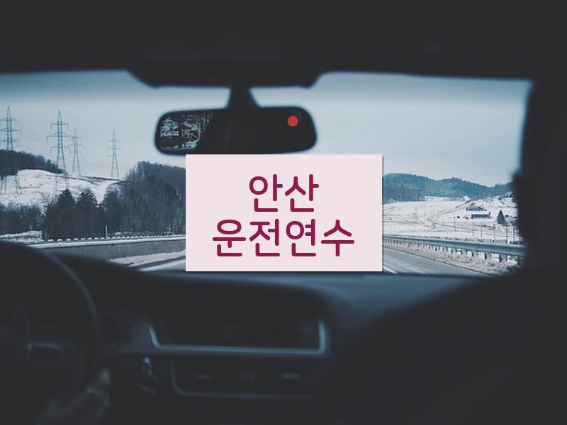 안산운전연수 후기