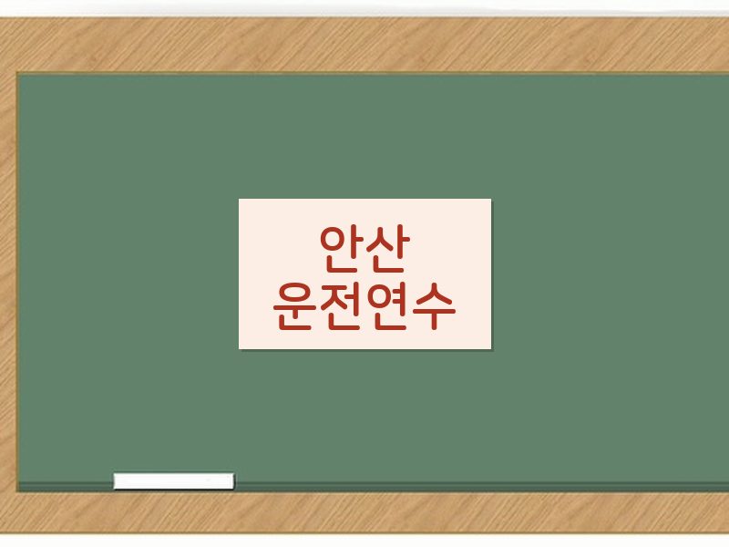 안산운전연수 후기