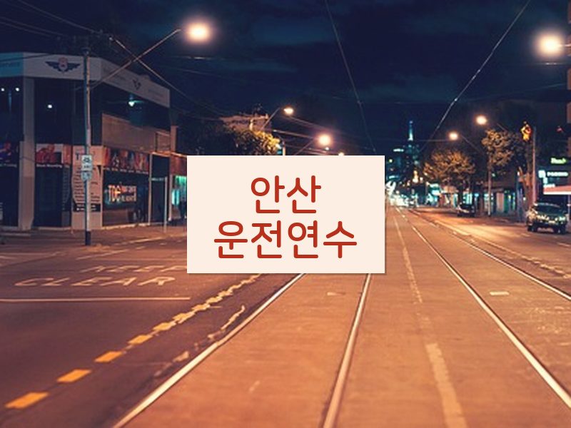 안산운전연수 후기
