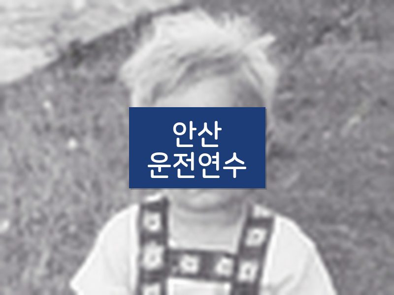 안산운전연수 후기