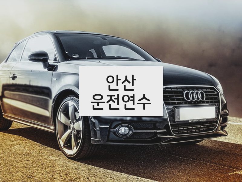 안산운전연수 후기