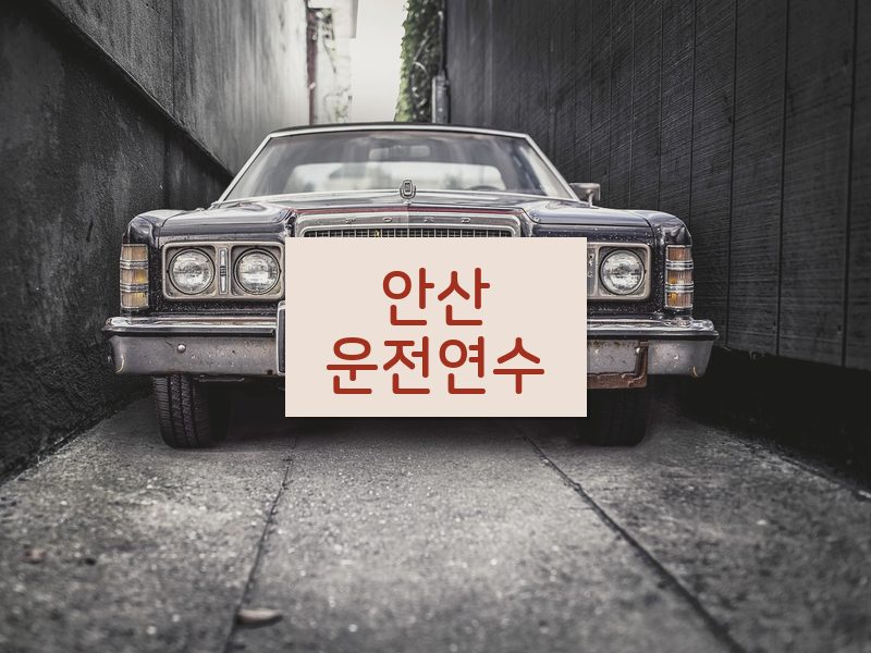 안산운전연수 후기