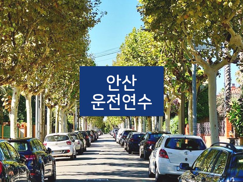 안산운전연수 후기