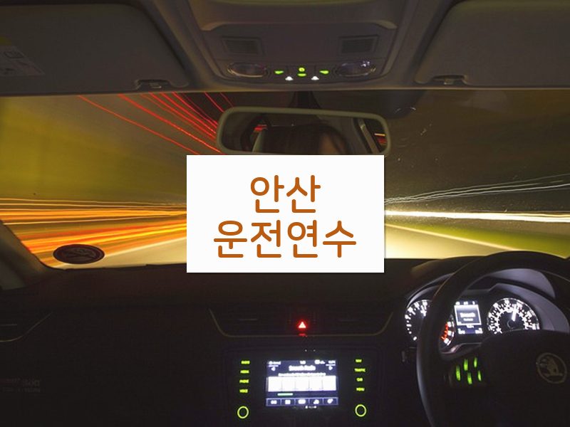 안산운전연수 후기