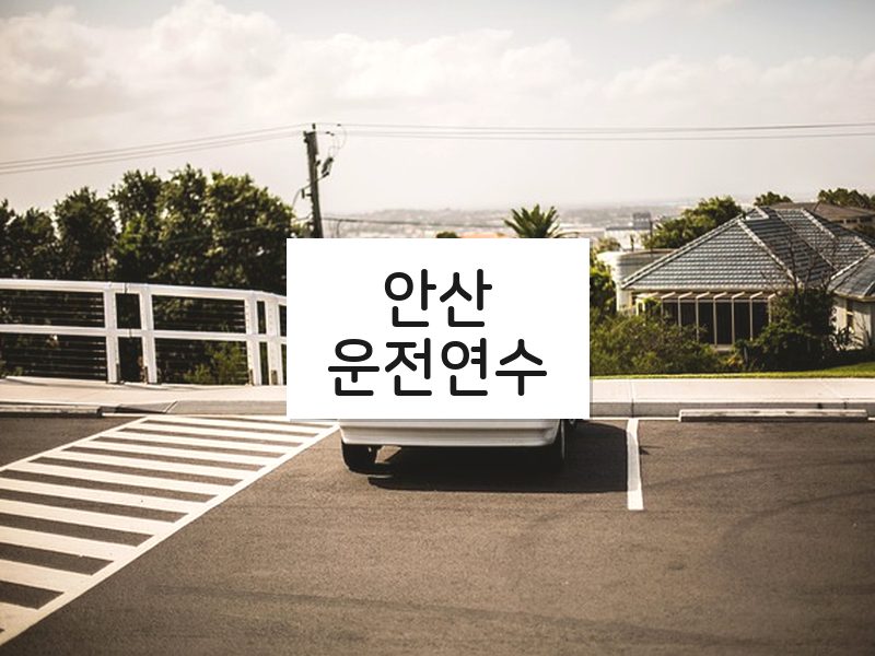 안산운전연수 후기
