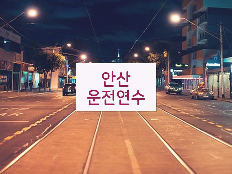 안산운전연수 후기