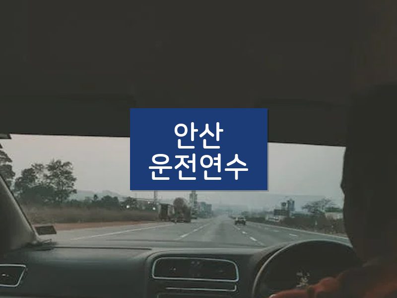 안산운전연수 후기