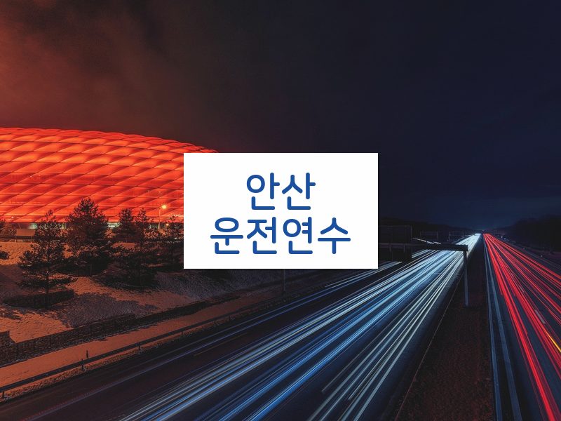 안산운전연수 후기