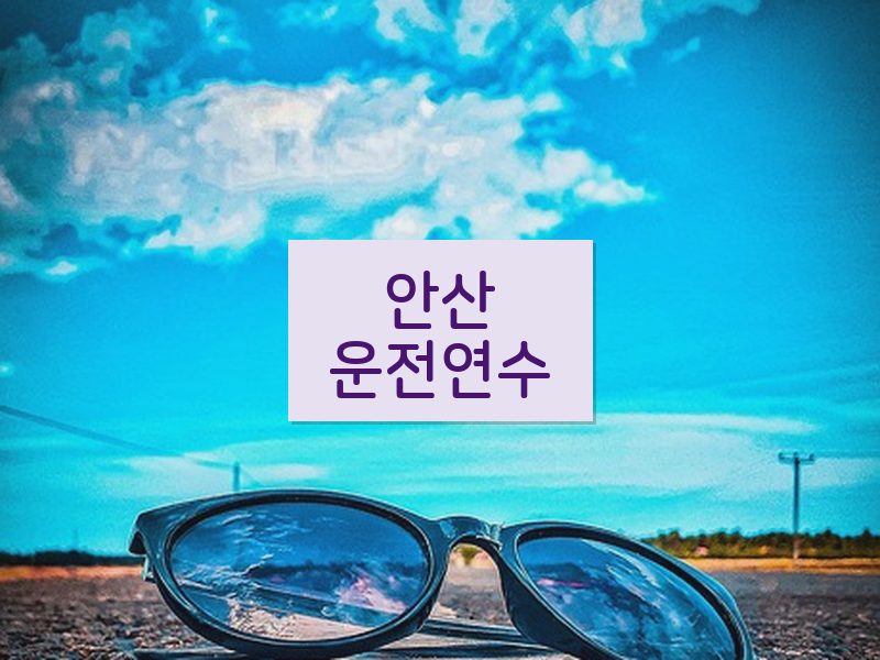안산운전연수 후기