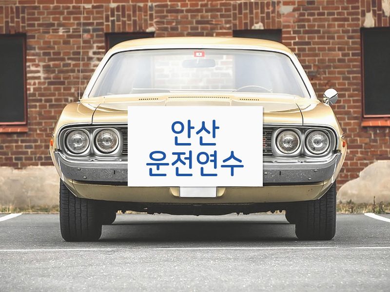 안산운전연수 후기