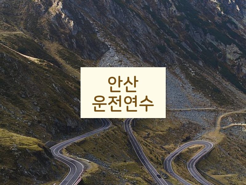 안산운전연수 후기