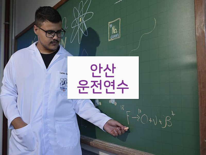 안산운전연수 후기