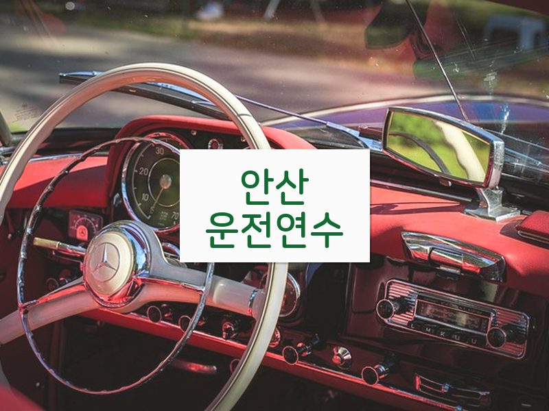 안산운전연수 후기