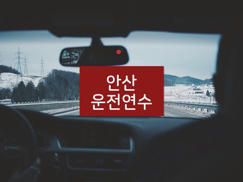 안산운전연수 후기