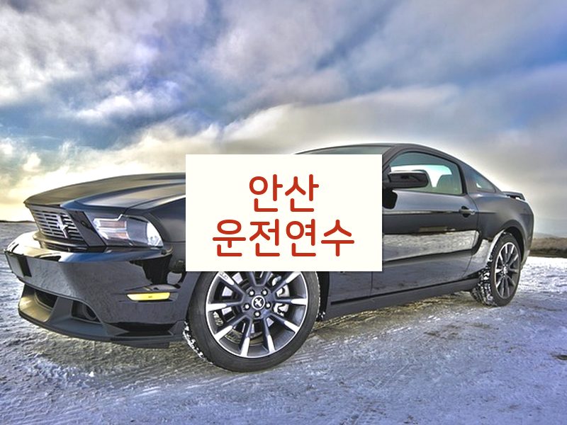 안산운전연수 후기