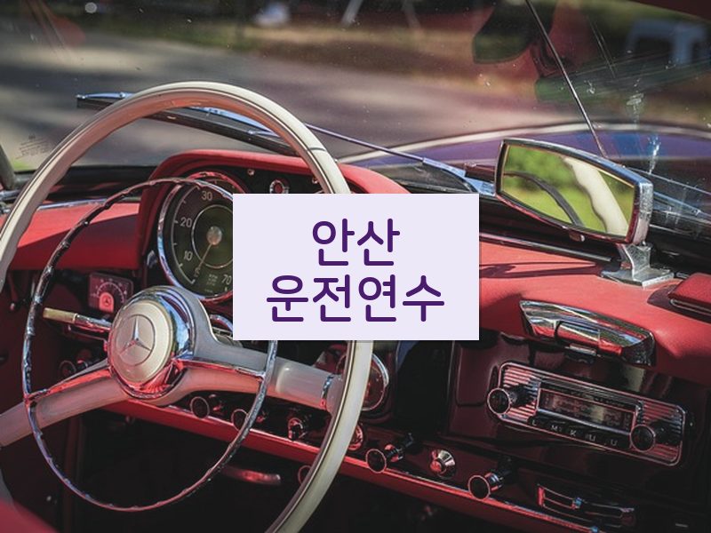 안산운전연수 후기