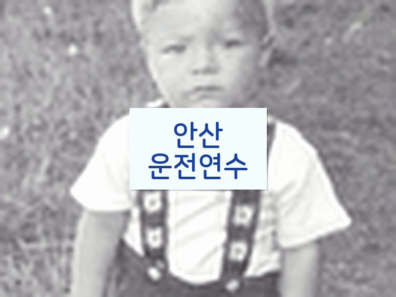 안산운전연수 후기