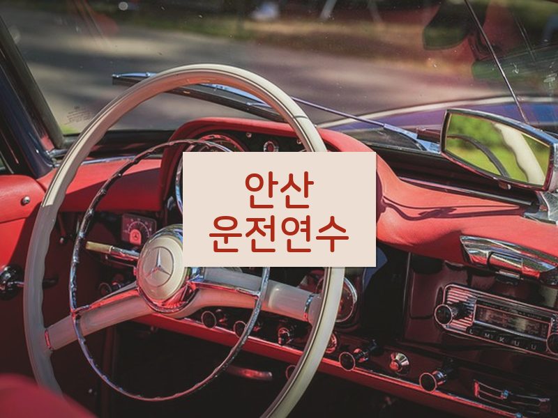 안산운전연수 후기