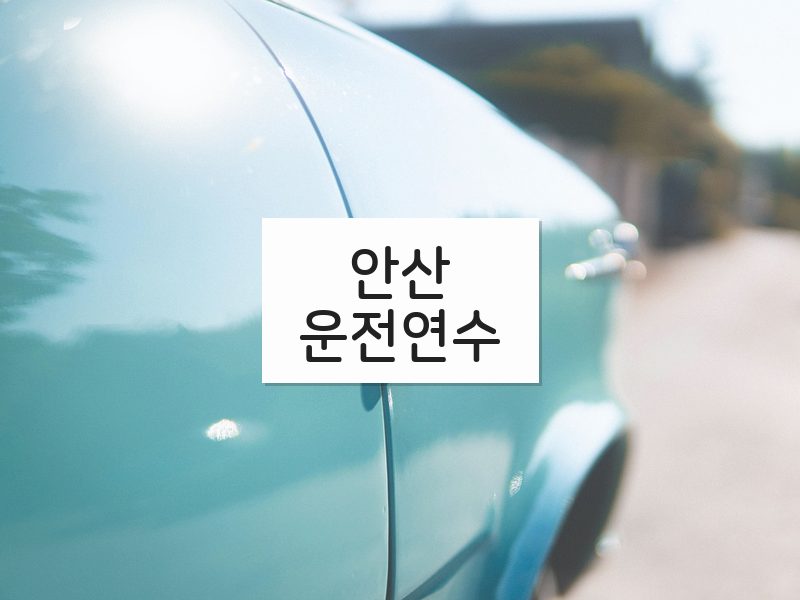 안산운전연수 후기