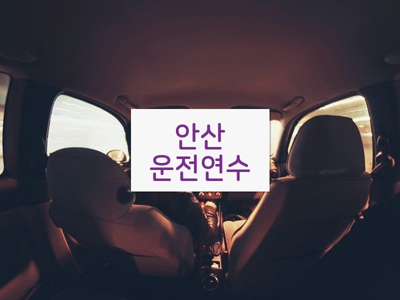 안산운전연수 후기