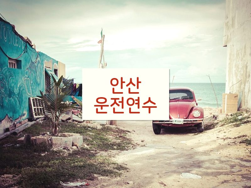 안산운전연수 후기