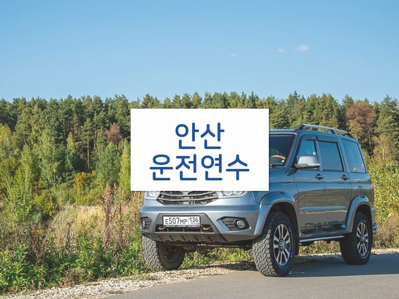 안산운전연수 후기