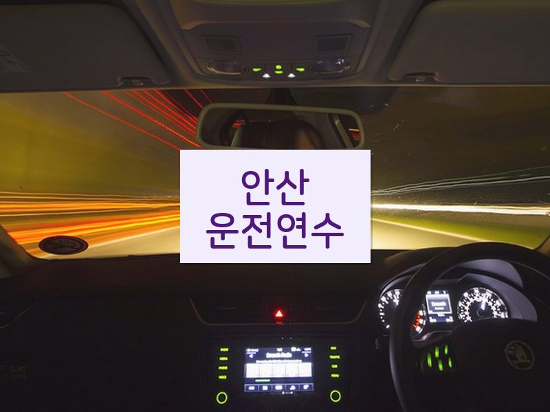 안산운전연수 후기