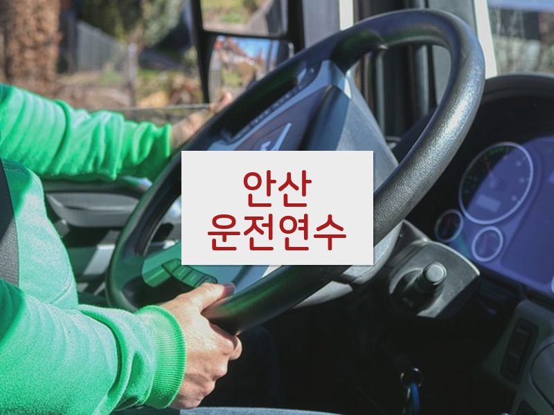 안산운전연수 후기