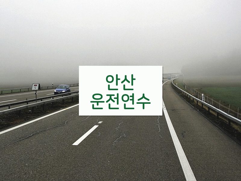 안산운전연수 후기