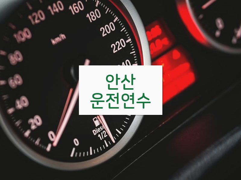 안산운전연수 후기