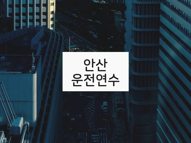 안산운전연수 후기