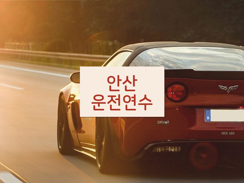 안산운전연수 후기