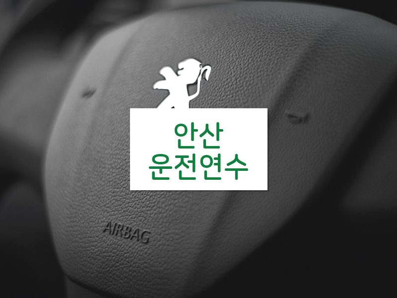 안산운전연수 후기